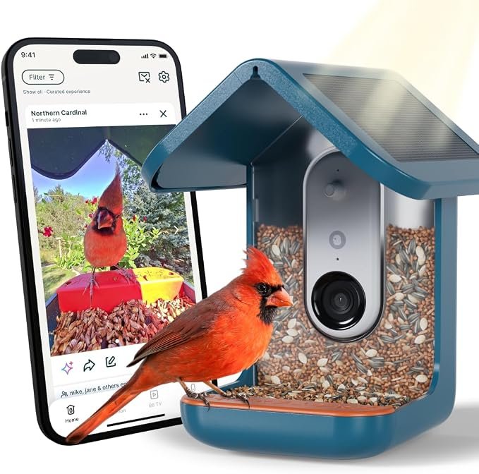 Birdbuddy PRO Solar Smart Bird Feeder with Camera