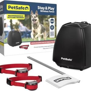 PetSafe Stay & Play Wireless 2-Dog Fence for Stubborn Dogs