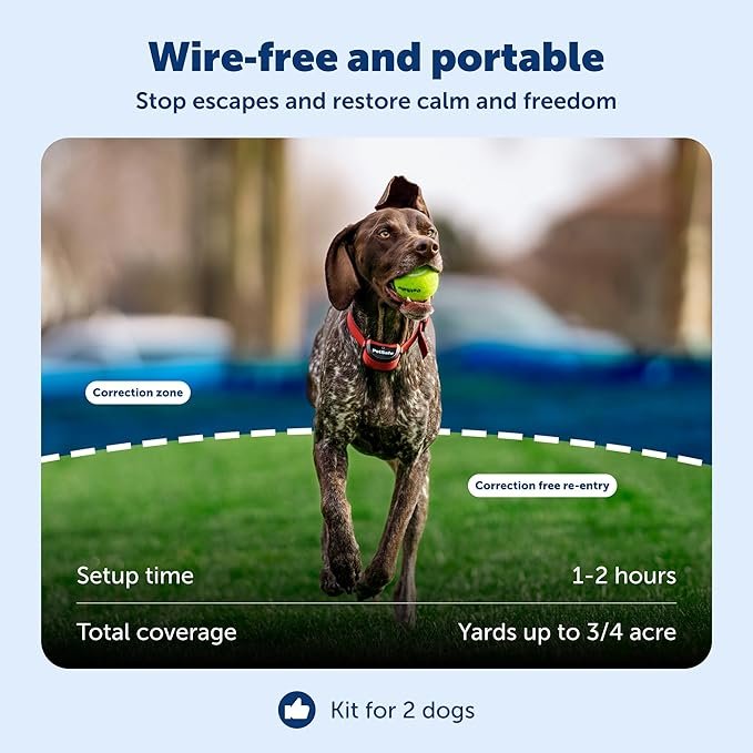 PetSafe Stay & Play Wireless 2-Dog Fence for Stubborn Dogs - Image 2
