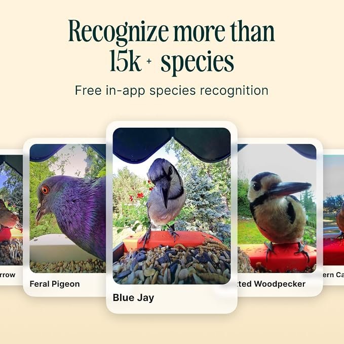 Birdbuddy PRO Solar Smart Bird Feeder with Camera - Image 2