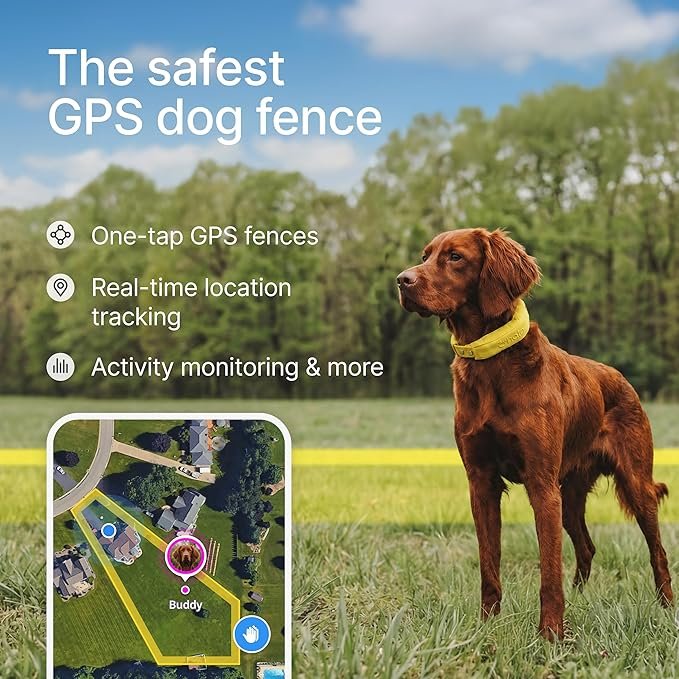 Halo Collar 5 Wireless Dog Fence & GPS Dog Collar, Keep Your Dog Safely