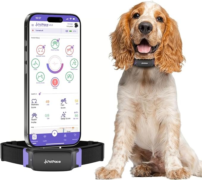 V3.0 Dog Health Monitor – AI Health Collar with 24/7 - Image 2
