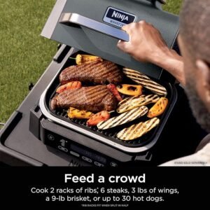 Ninja Woodfire Outdoor Grill & Smoker