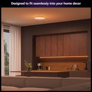 Philips Hue Datura Smart Ceiling Panel (Small Round 2.49in x 15.12in) White & Color Light