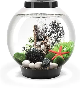biOrb Classic 15 Acrylic 4-Gallon Aquarium with White LED Lights